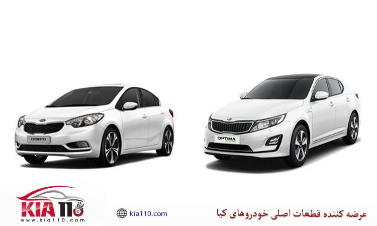 آشنایی با مدل ها و تیپ های مختلف سراتو