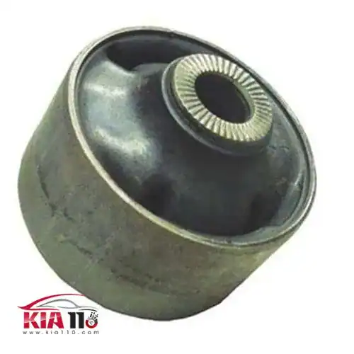 بوش طبق سراتو