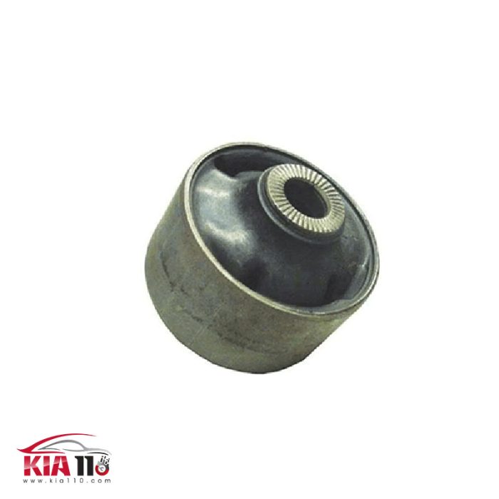 بوش طبق بزرگ سراتو سایپایی